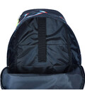 Рюкзак Bagland Stylish L 24 л. сублімація 1345 (00518664) картинка, зображення, фото