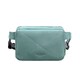 Шкіряна жіноча поясна сумка Dropbag Mini бірюзова картинка, зображення, фото