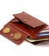 Мужское горизонтальное портмоне из натуральной гладкой кожи CANPELLINI 21780 Коричневое фото, картинка, изображение