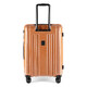 Средний чемодан Epic Crate Reflex EVO ECX402/03-10 фото