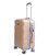Чемодан Carbon 147 маленький S шампань фото, картинка, изображение