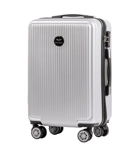 Валіза Wings PC565 African Eagle Mini срібна картинка, зображення, фото