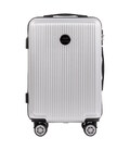 Чемодан Wings PC565 African Eagle Mini серебристый фото, картинка, изображение
