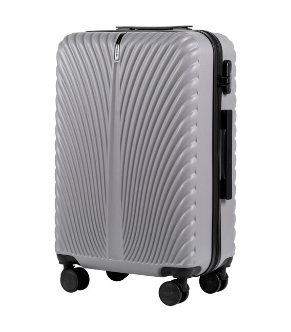 Чемодан Wings SN120 Midi серебристый фото, картинка, изображение