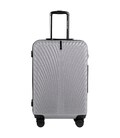 Валіза Wings SN120 Midi срібна картинка, зображення, фото